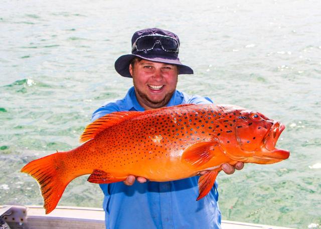 Coral Trout off Exmouth